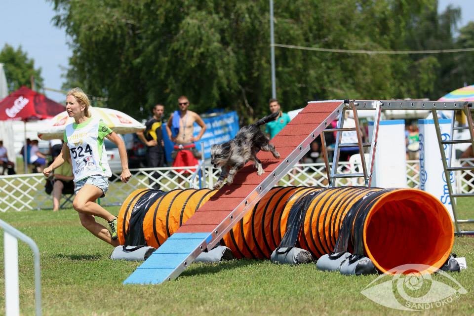 10460539_10203667760328122_7872534781000129080_n 10460539_10203667760328122_7872534781000129080_n