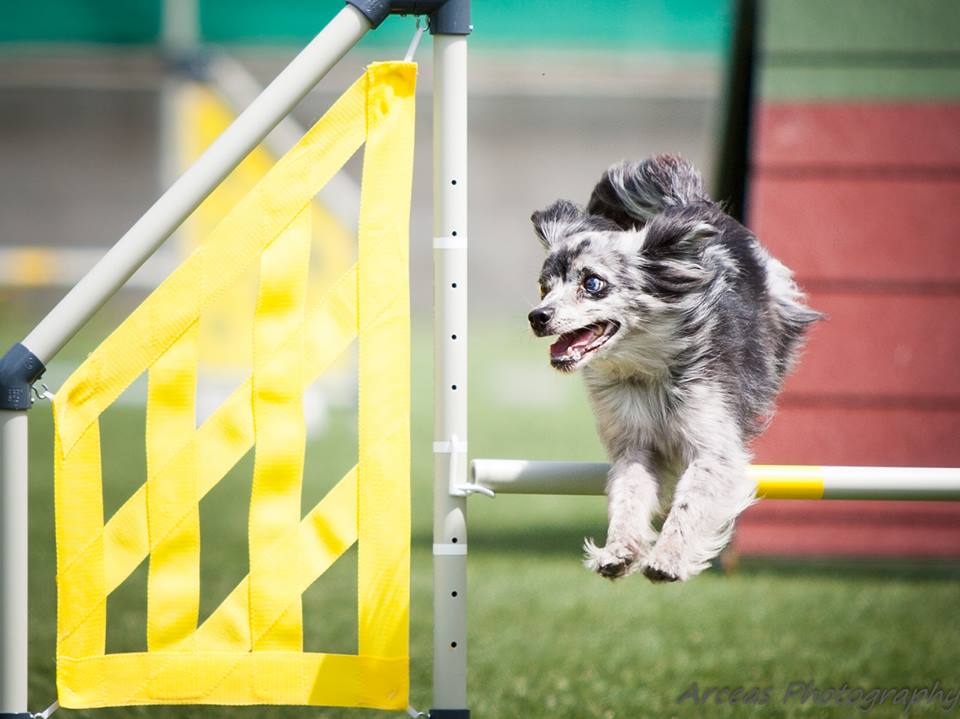 10469721_652884598130682_8570440762718759606_n 10469721_652884598130682_8570440762718759606_n