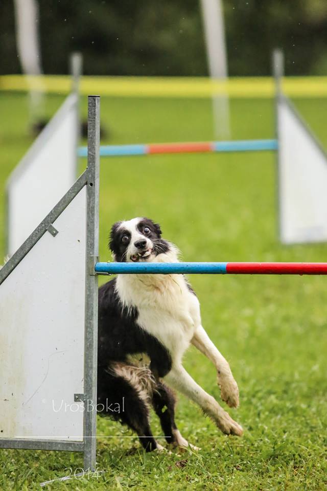 10513272_844852005524927_2864611695365262149_n 10513272_844852005524927_2864611695365262149_n
