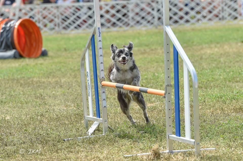10524668_10203374087784669_7004123442325002197_n 10524668_10203374087784669_7004123442325002197_n