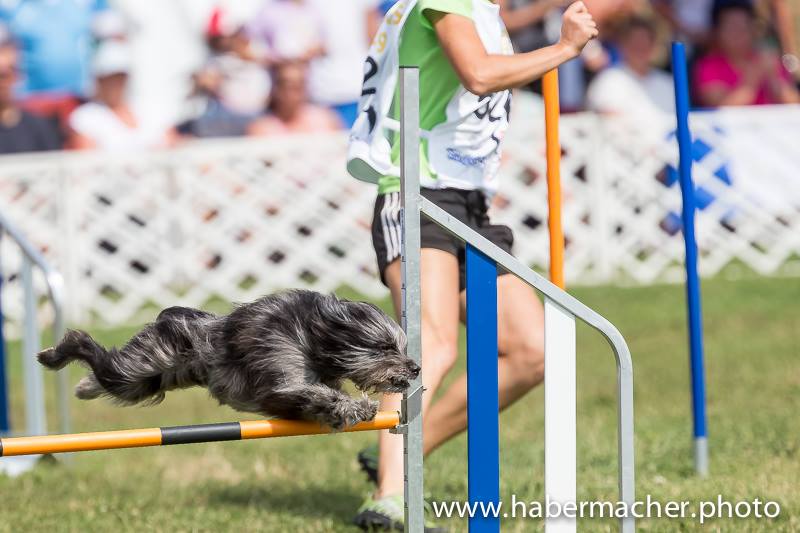 10533323_721789174523344_1621404625161672973_n 10533323_721789174523344_1621404625161672973_n