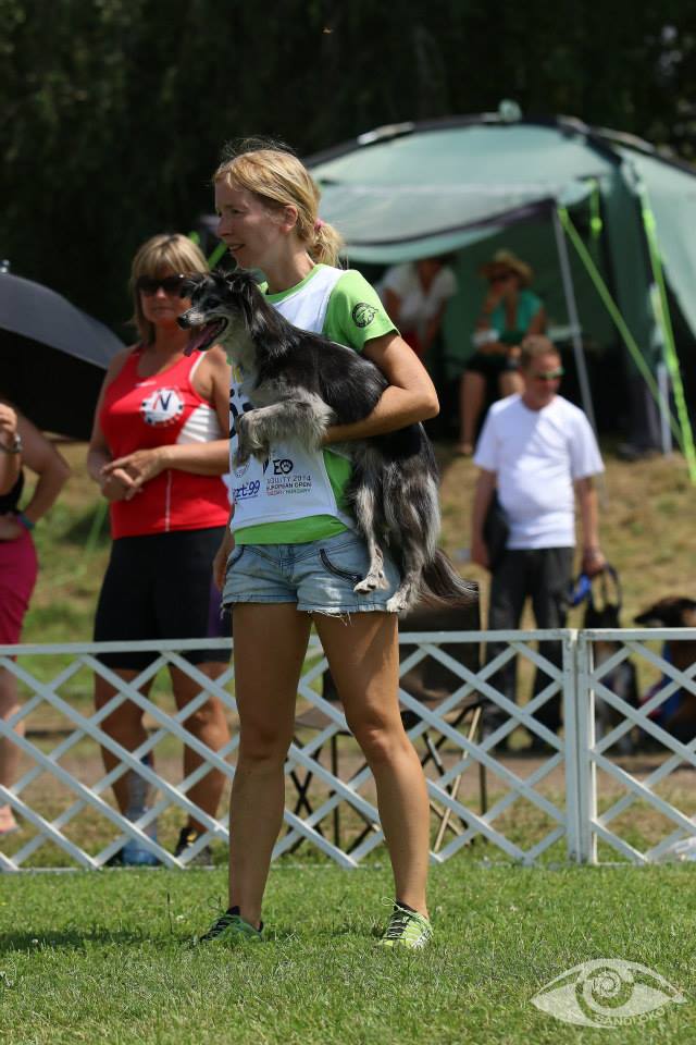 10534082_10203667766608279_8729381842358924518_n 10534082_10203667766608279_8729381842358924518_n