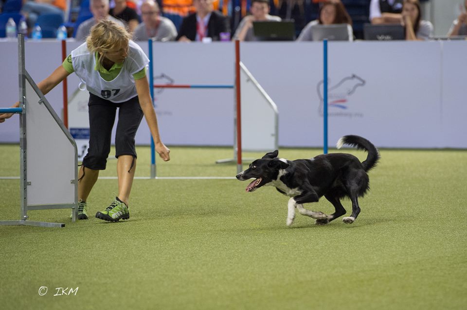 10534641_10203736211197528_1255272131192356564_n 10534641_10203736211197528_1255272131192356564_n
