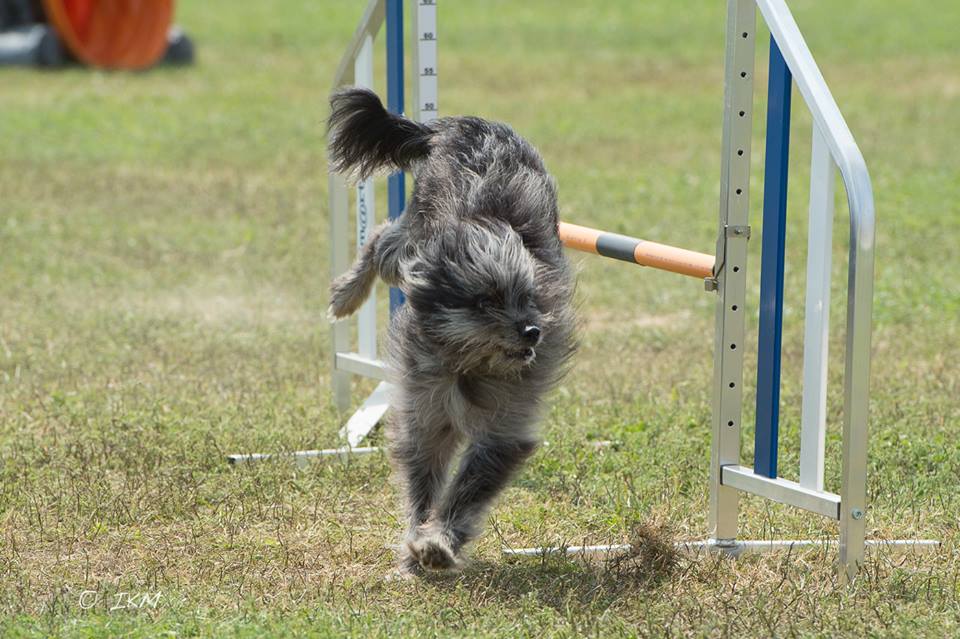 10553392_10203374243668566_5420819864087815033_n 10553392_10203374243668566_5420819864087815033_n