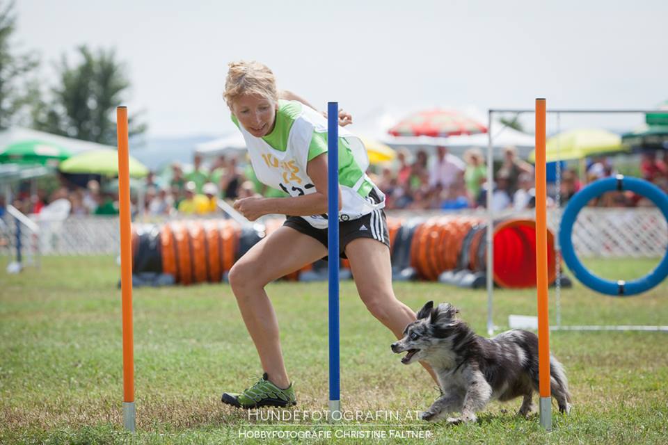 10569040_761535750551159_4485536699734786869_n 10569040_761535750551159_4485536699734786869_n