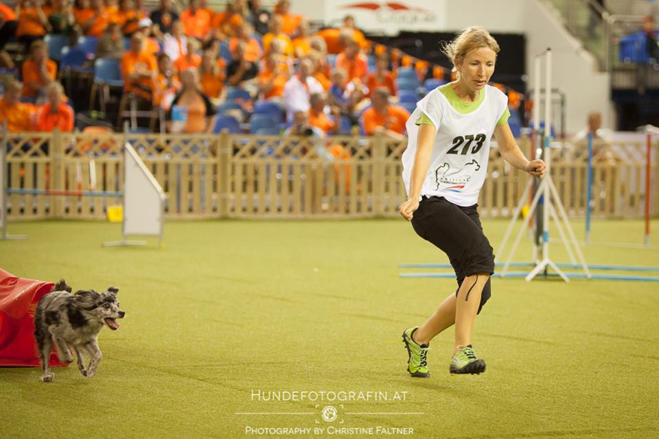 10570444_785156754855725_8192453102925827670_n 10570444_785156754855725_8192453102925827670_n