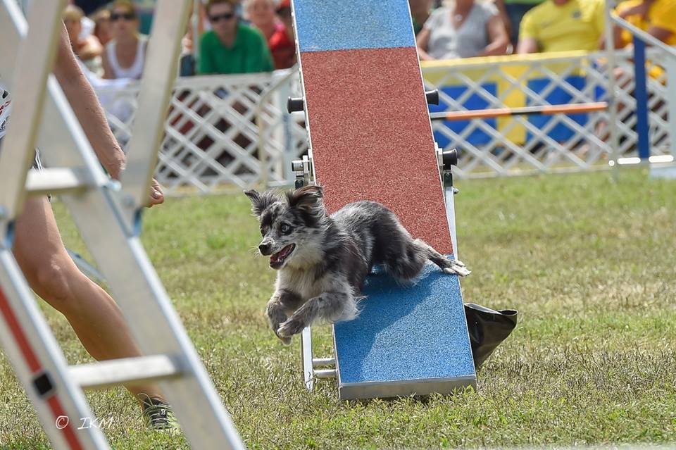 10583945_10203374084584589_5867675070117486965_n 10583945_10203374084584589_5867675070117486965_n