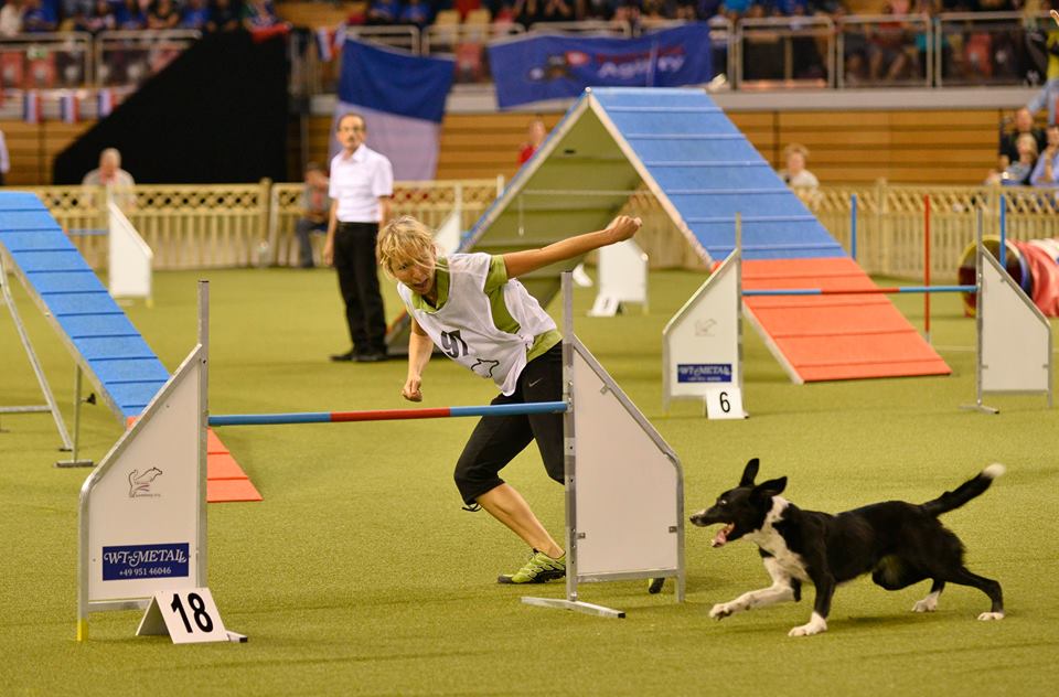 10593216_778403585551398_1077425961206648556_n 10593216_778403585551398_1077425961206648556_n