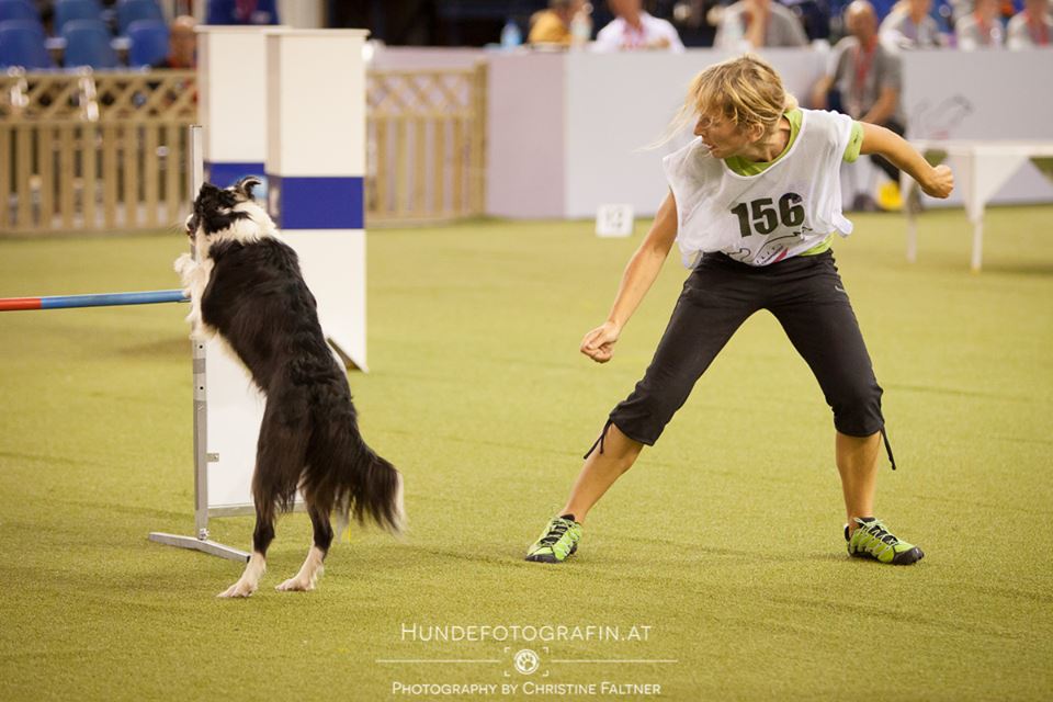 10620530_784853214886079_4363574925180322243_n 10620530_784853214886079_4363574925180322243_n