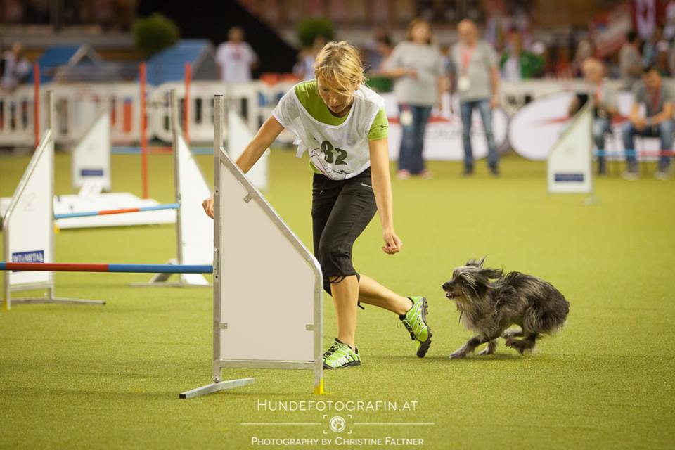 10635833_785151591522908_4146183679484151141_n 10635833_785151591522908_4146183679484151141_n