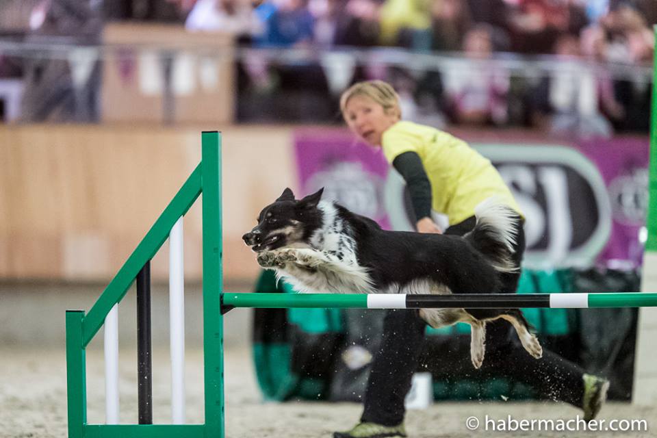 10665099_857973484238245_5453080911258949144_n 10665099_857973484238245_5453080911258949144_n