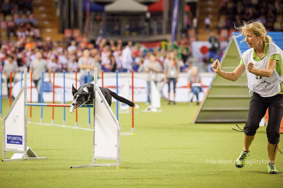 10698423_921005834593703_1384219334722774576_n 10698423_921005834593703_1384219334722774576_n