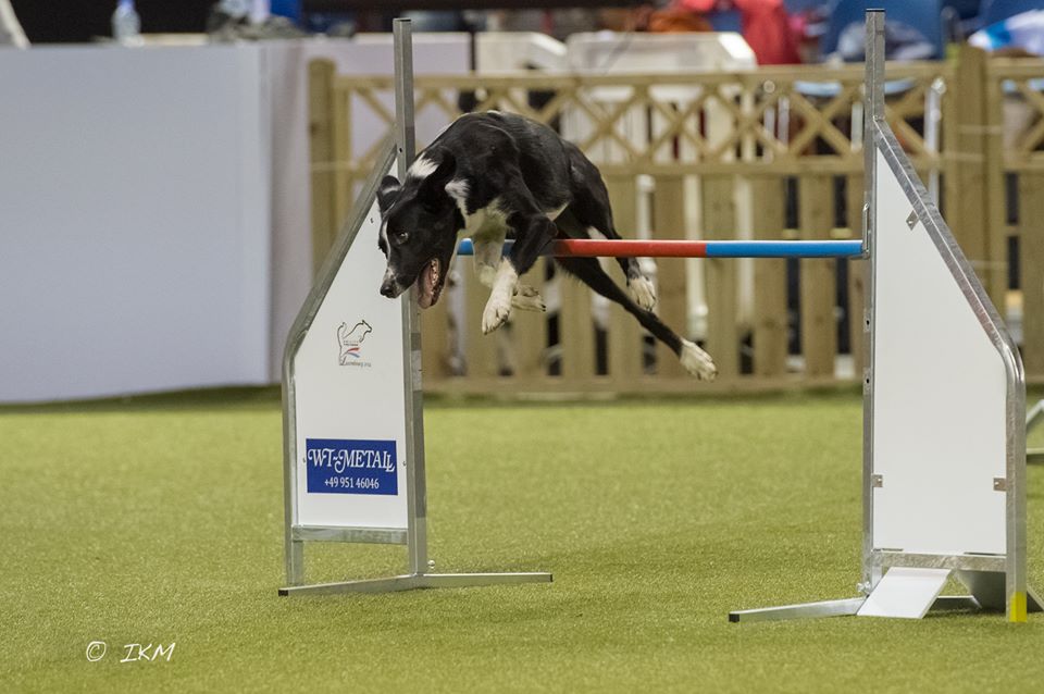 10698665_10203736214877620_3783635423516273855_n 10698665_10203736214877620_3783635423516273855_n