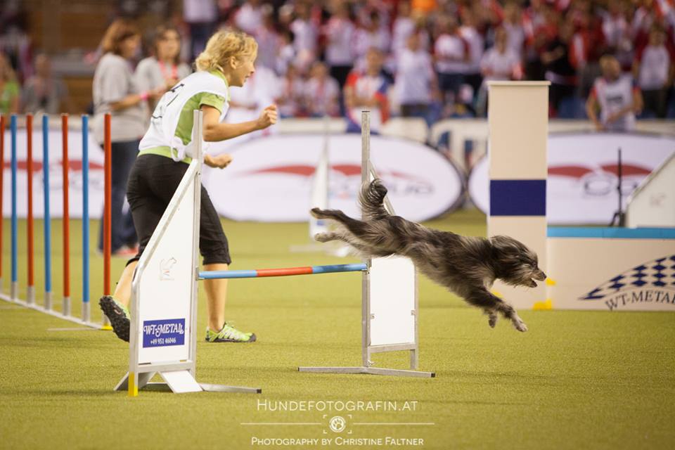 10703937_785341348170599_8314937493719186997_n 10703937_785341348170599_8314937493719186997_n