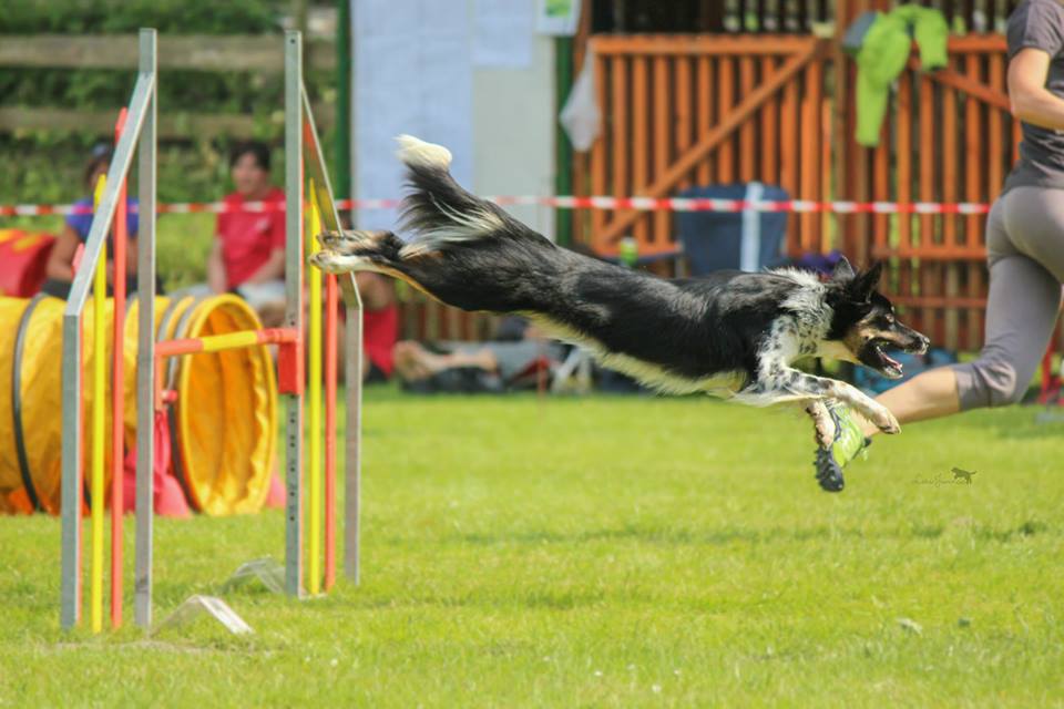 11206061_1105860056097557_5885594299793950379_n 11206061_1105860056097557_5885594299793950379_n