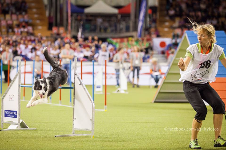 1379866_921005361260417_2733038160315593601_n 1379866_921005361260417_2733038160315593601_n