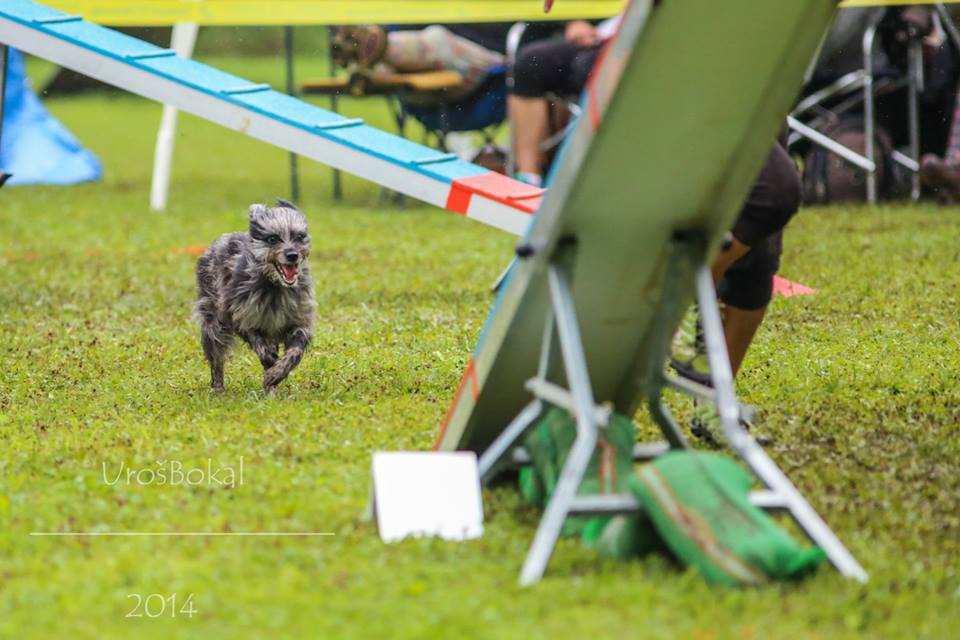 1391761_843872902289504_8774617948163342111_n 1391761_843872902289504_8774617948163342111_n
