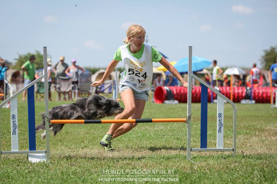 1560413_761525803885487_4155807659782643841_n 1560413_761525803885487_4155807659782643841_n