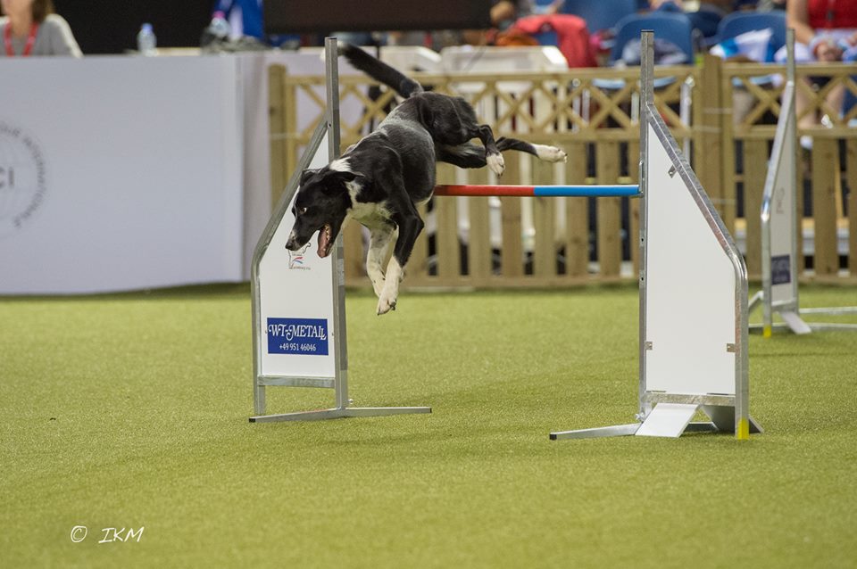 1606948_10203736215637639_2869209820403735641_n 1606948_10203736215637639_2869209820403735641_n