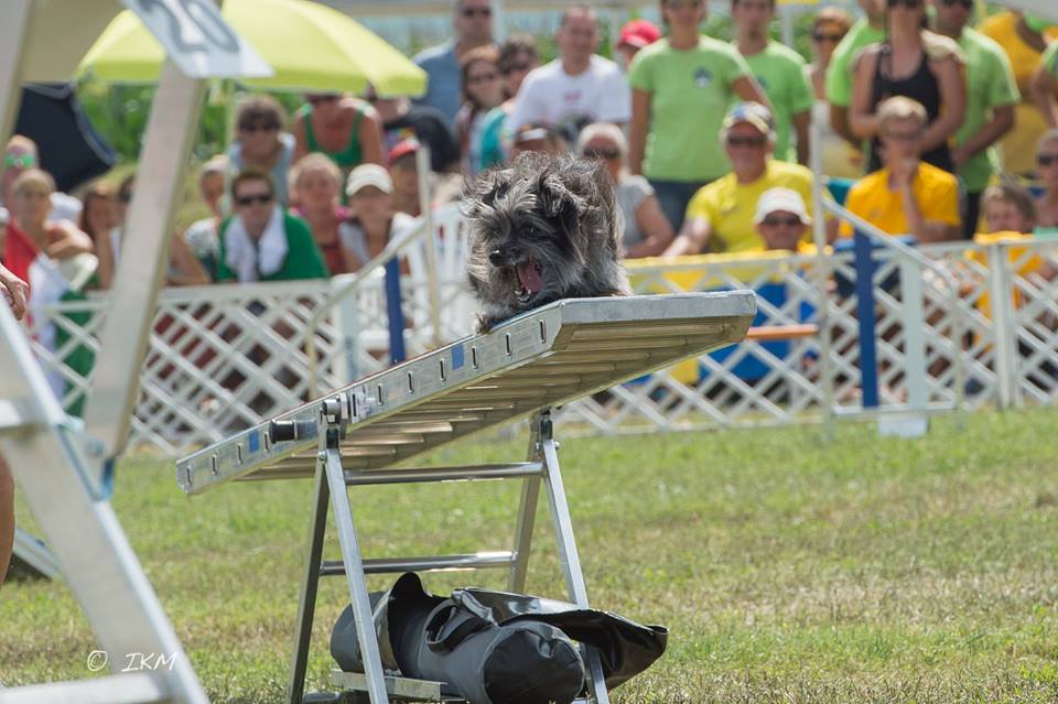 1972317_10203374230388234_7051684796709349435_n 1972317_10203374230388234_7051684796709349435_n