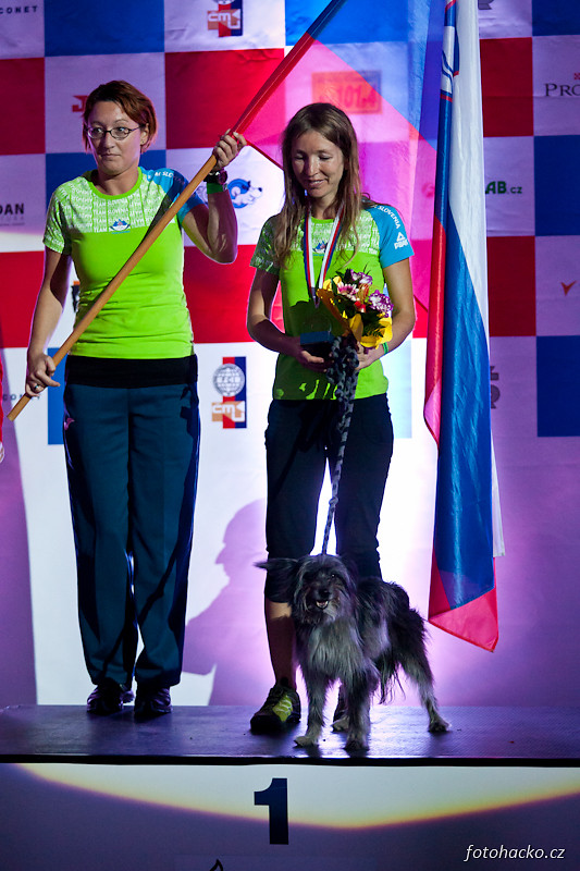 201210-agility-world-championship-4-4828