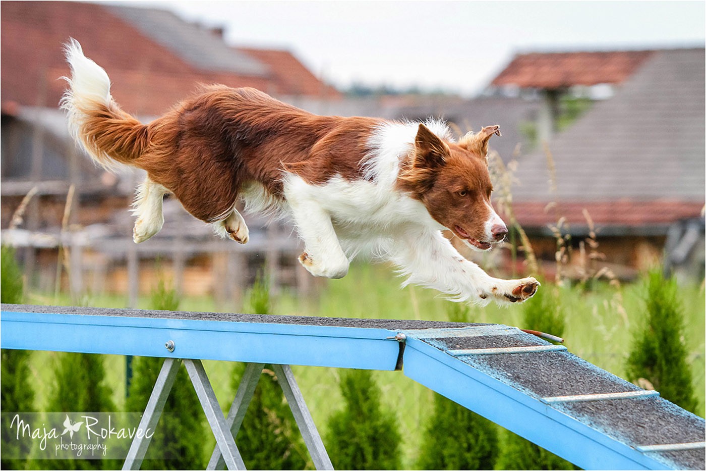 lolabu2014-cinzia_004