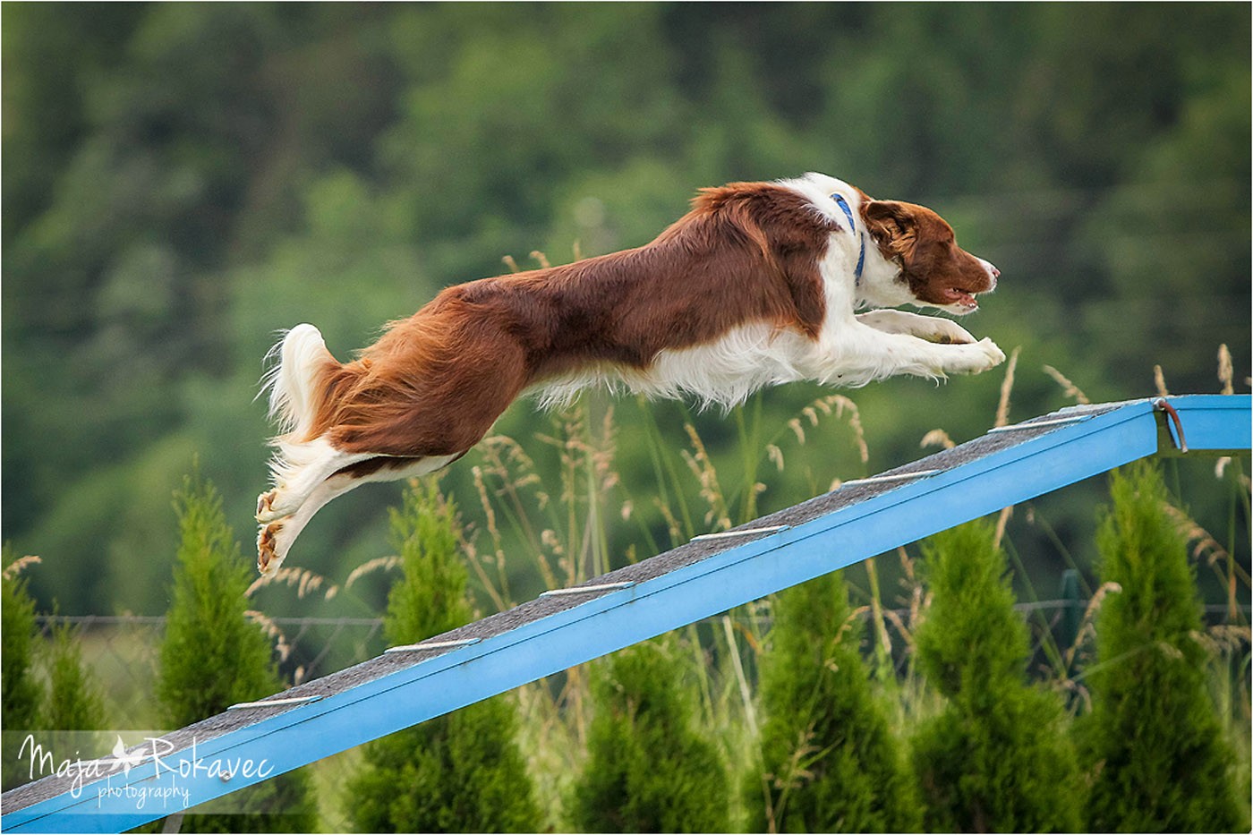 lolabu2014-cinzia_006