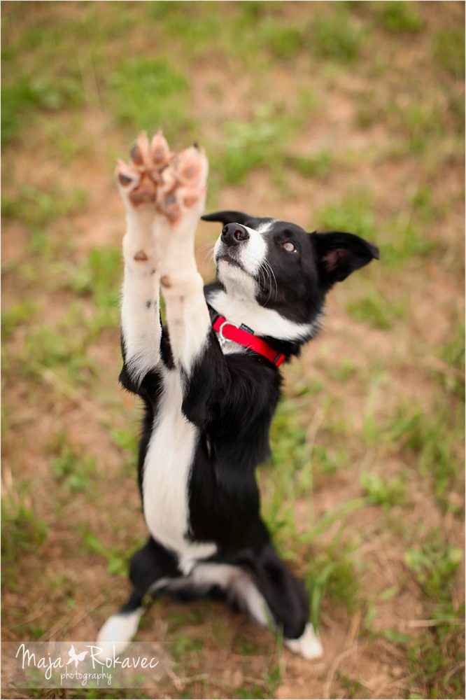 lolabu2014-cinzia_012