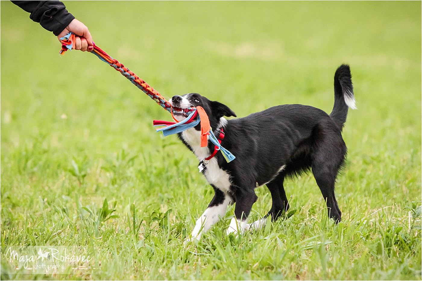 lolabu2014-cinzia_016