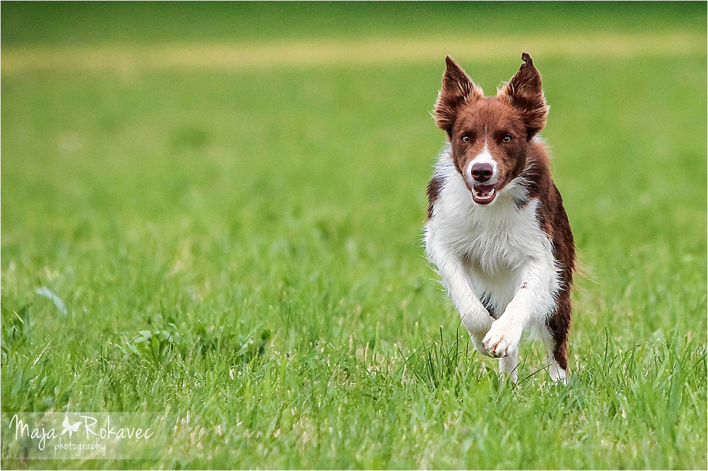 lolabu2014-cinzia_025