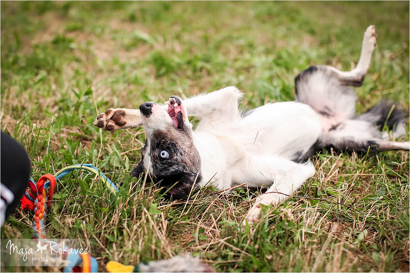 lolabu2014-cinzia_035