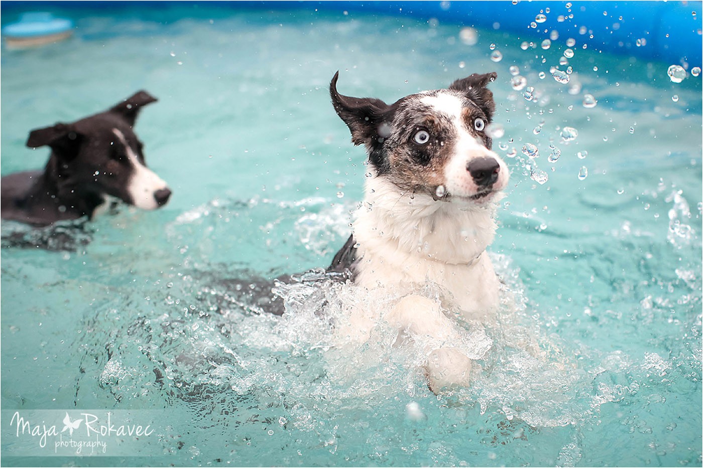 lolabu2014-cinzia_039