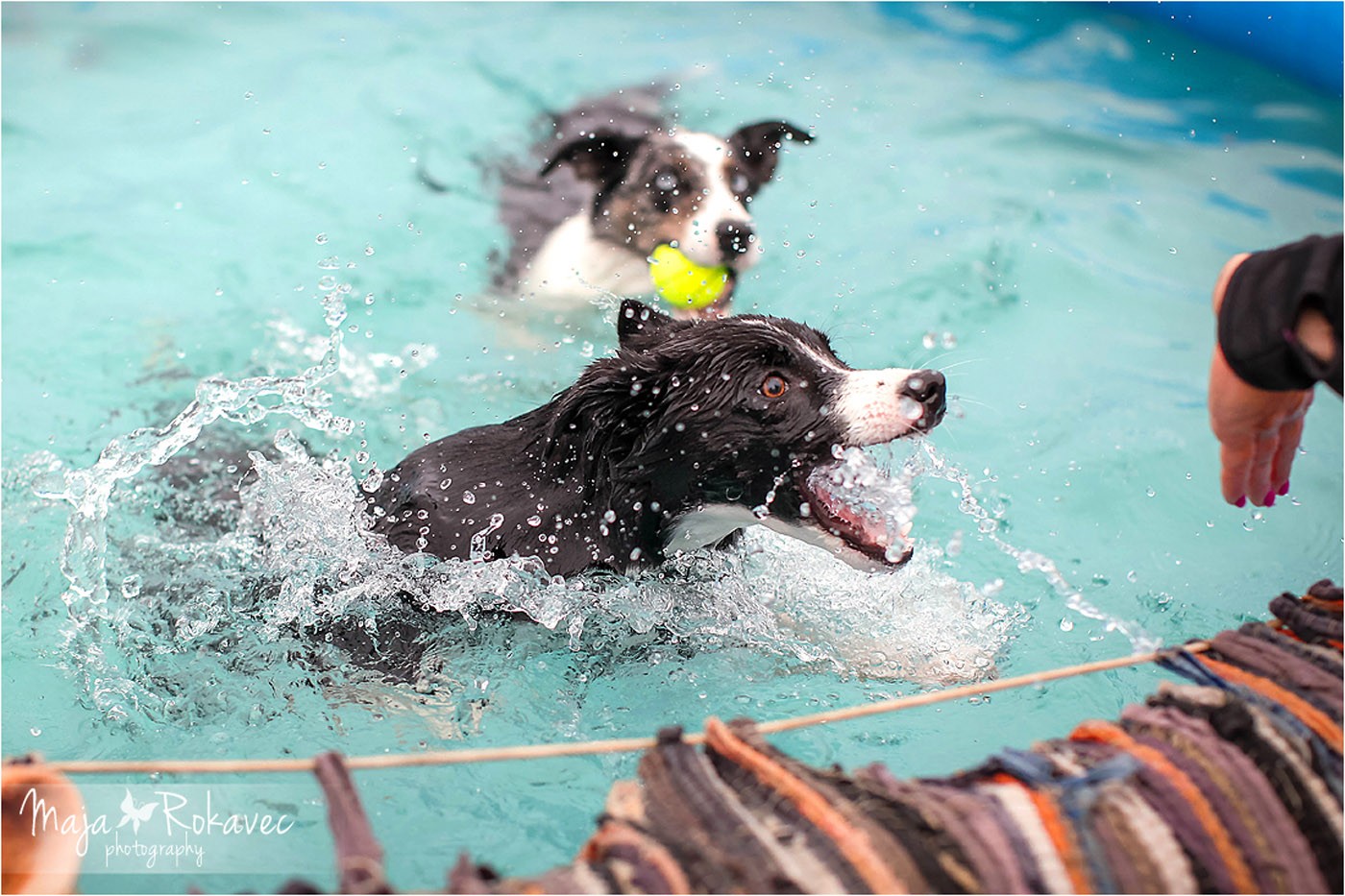 lolabu2014-cinzia_040