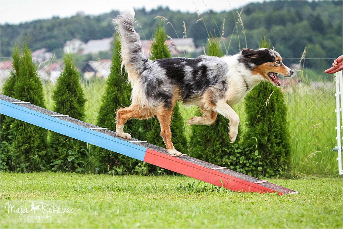 lolabu2014-gabbi_008