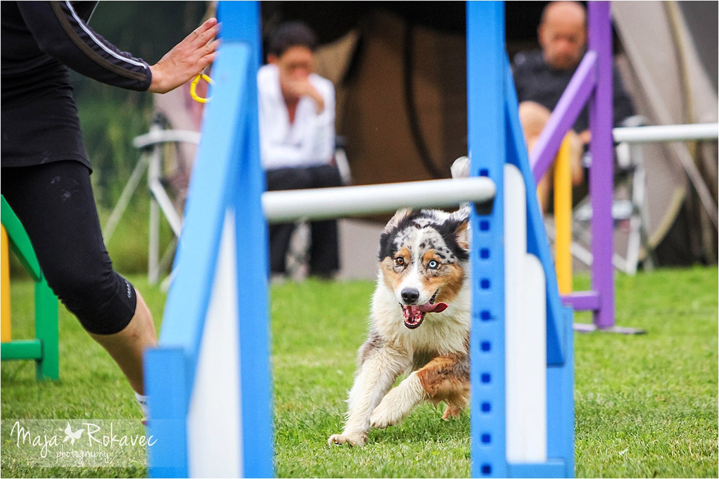 lolabu2014-gabbi_011