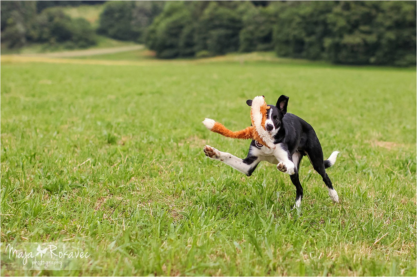 lolabu2014-gabbi_023