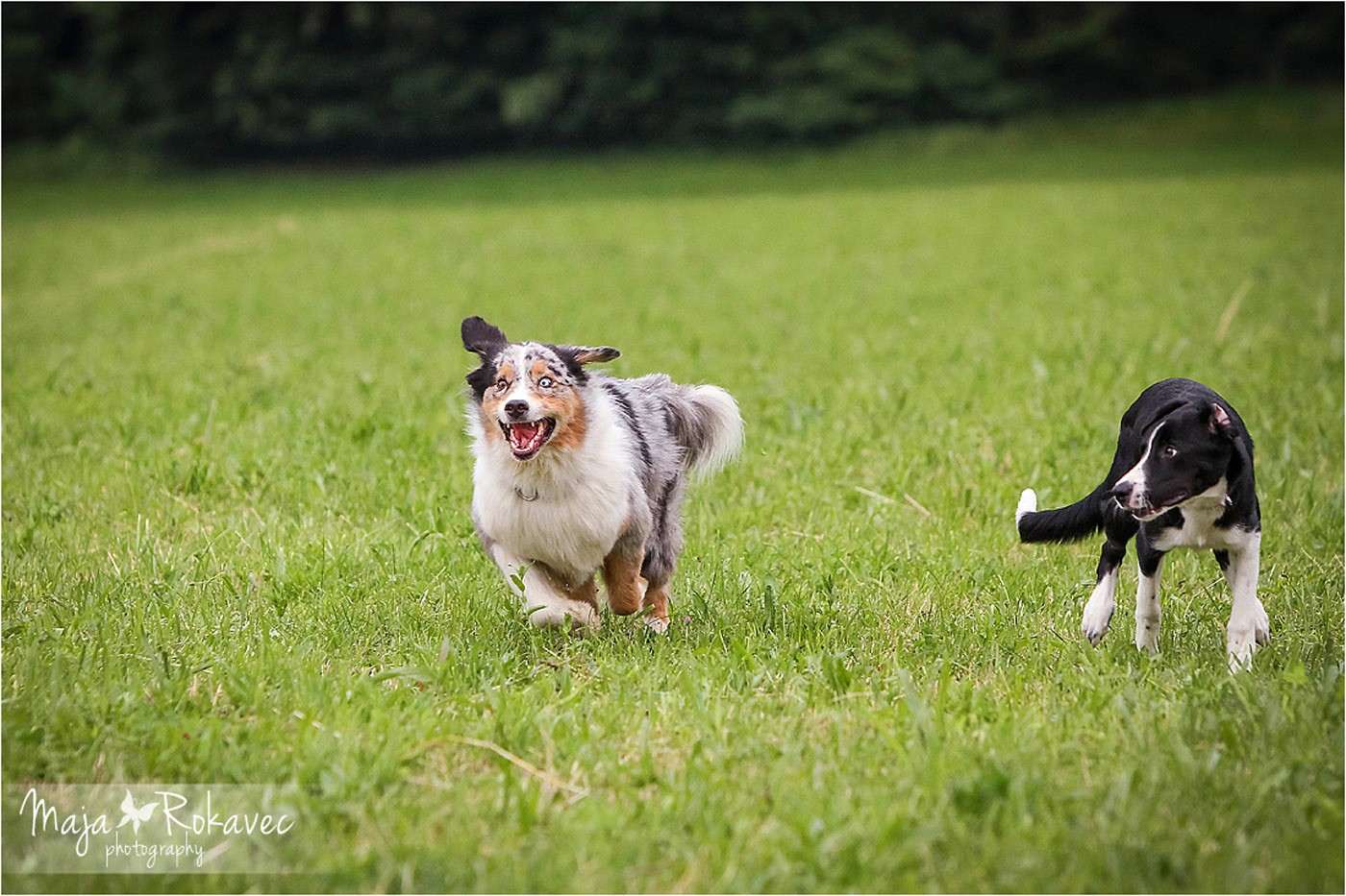 lolabu2014-gabbi_028