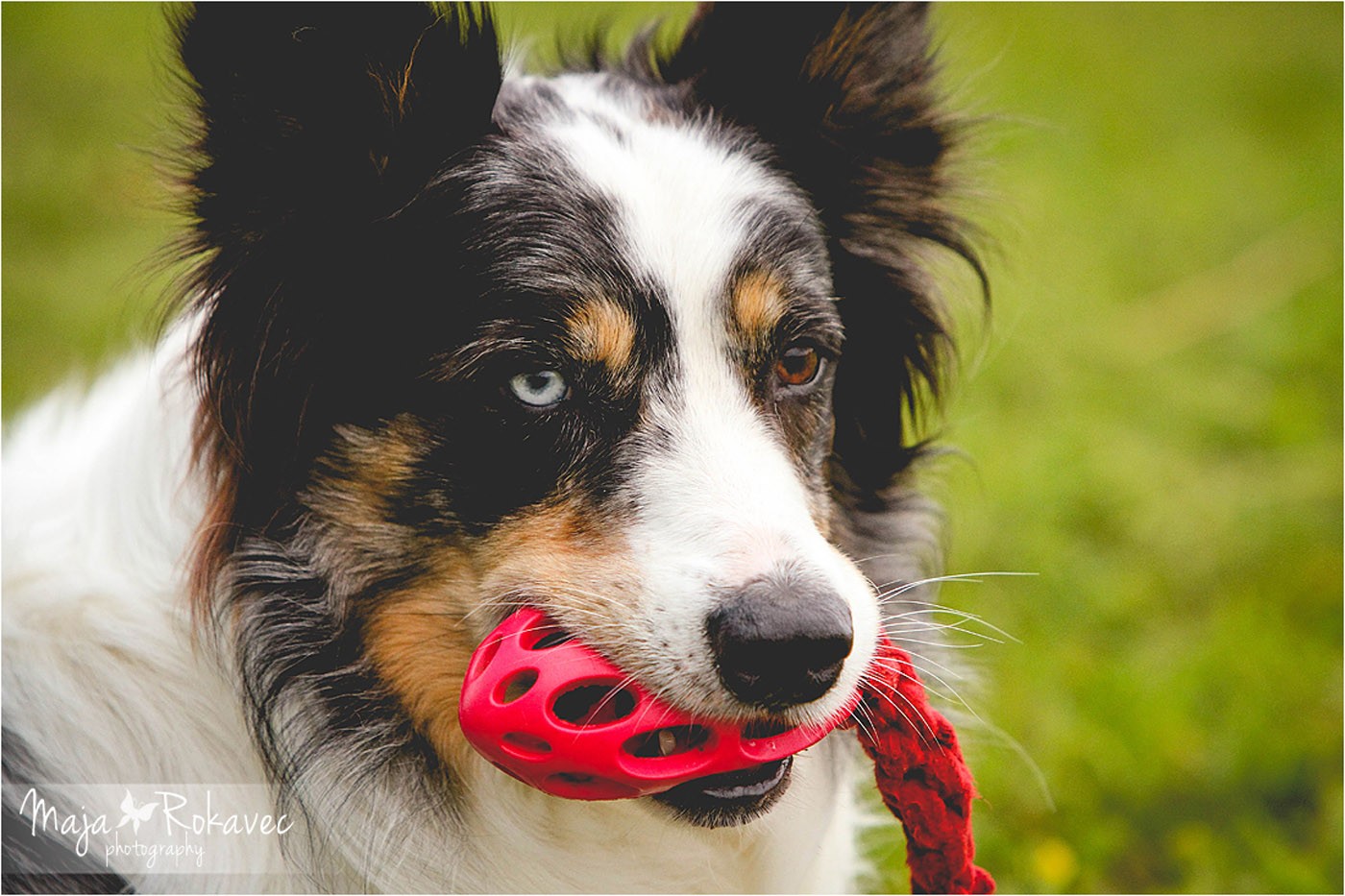 lolabu2014-tanja_004