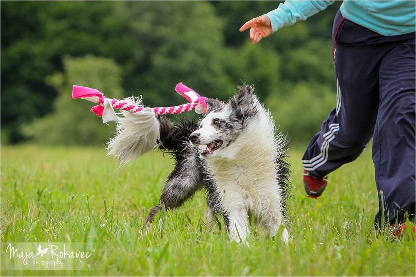 lolabu2014-tanja_005