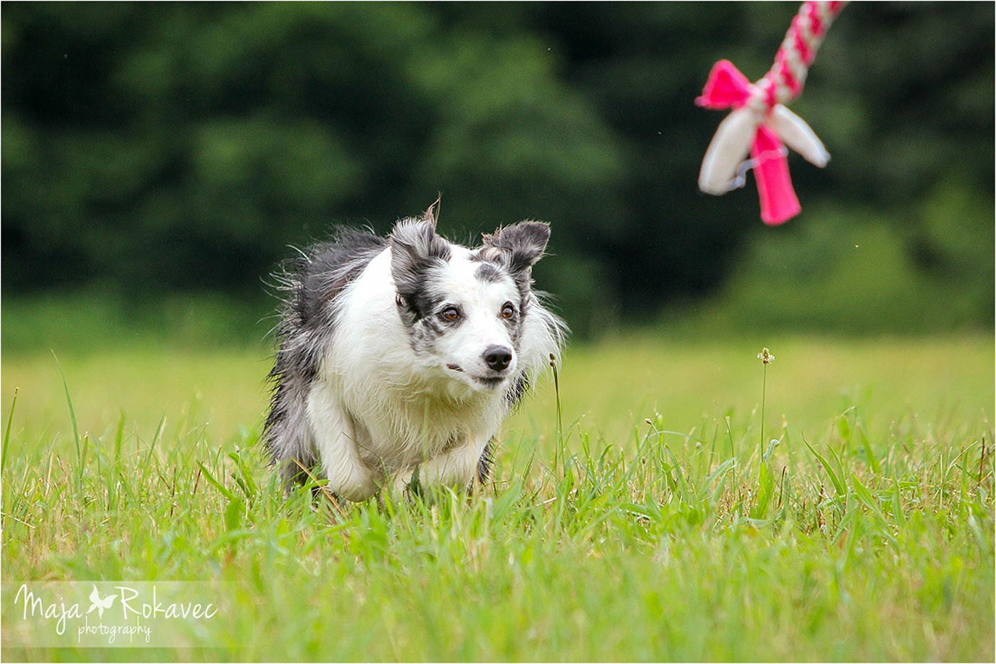 lolabu2014-tanja_006