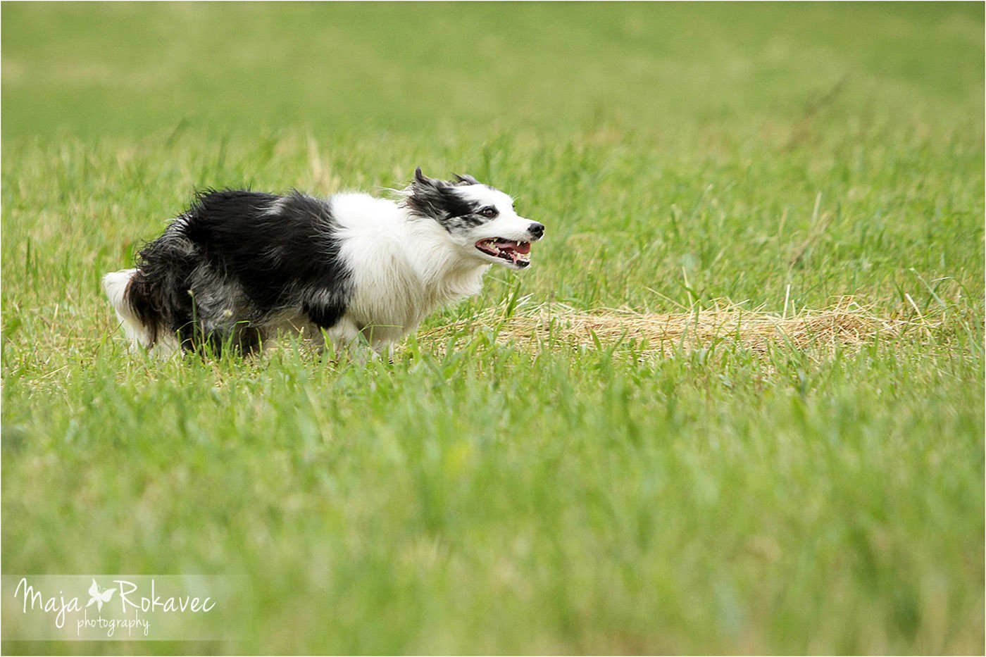 lolabu2014-tanja_013