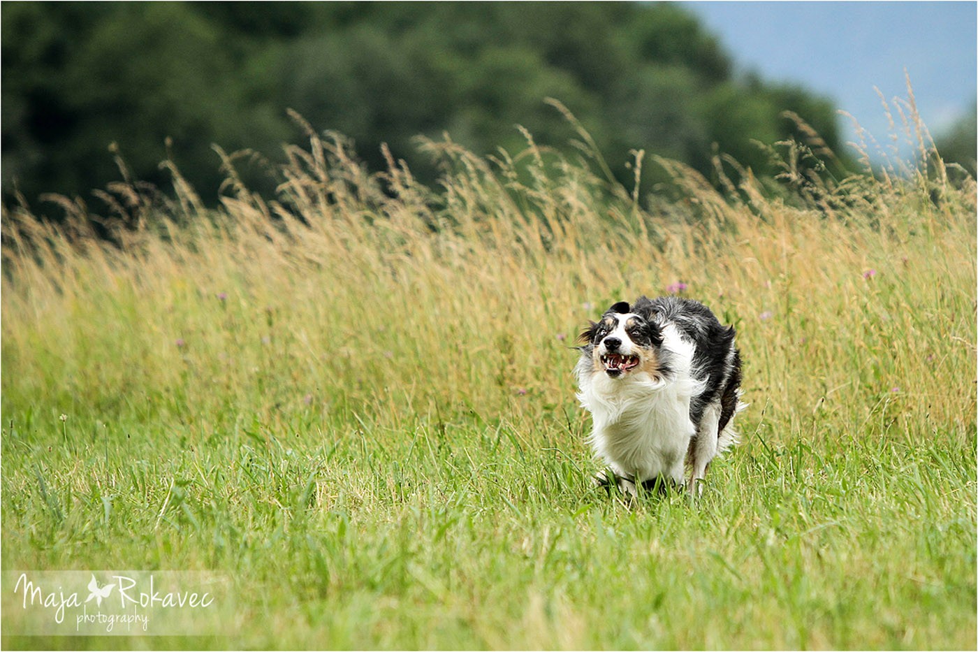 lolabu2014-tanja_017