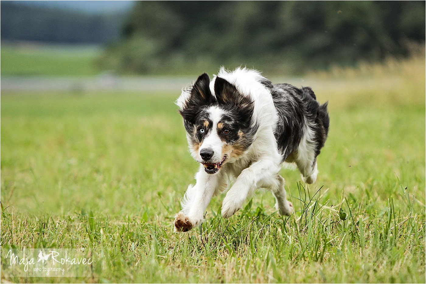 lolabu2014-tanja_018