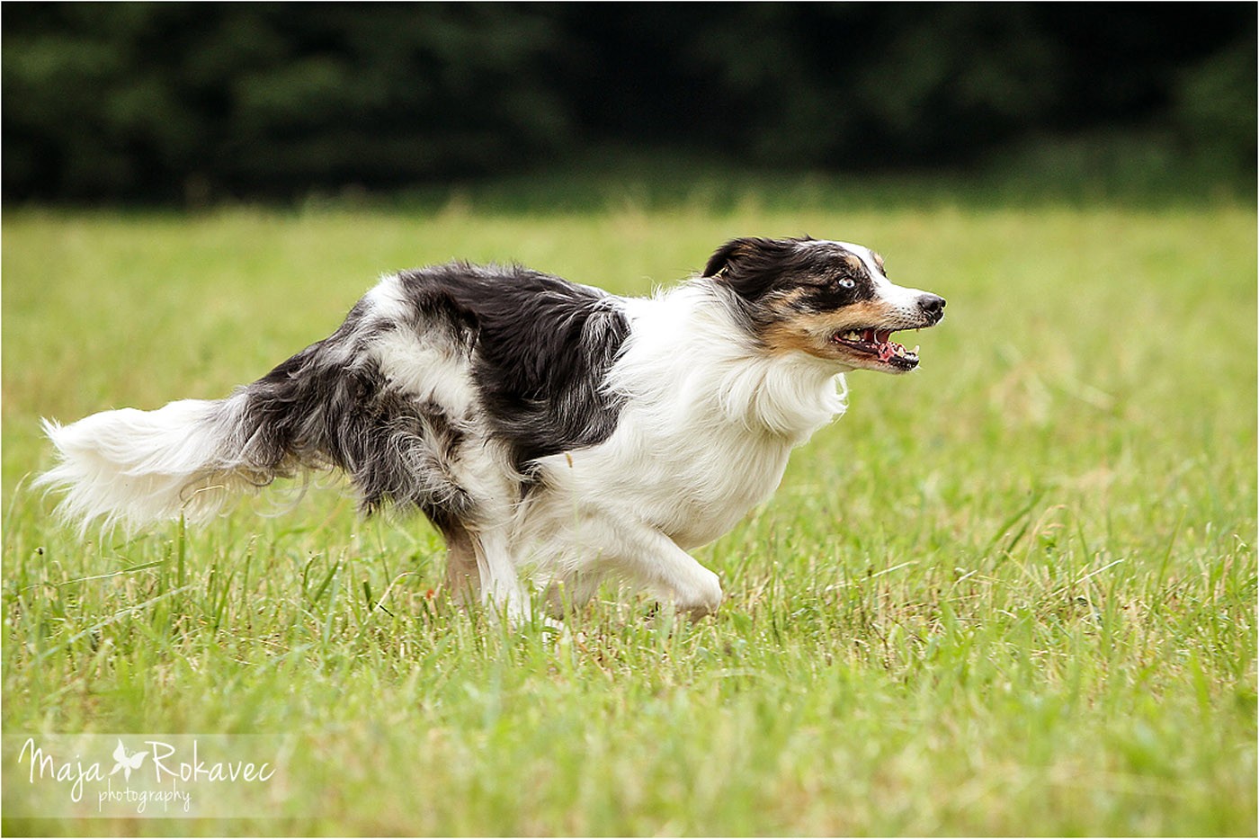 lolabu2014-tanja_019