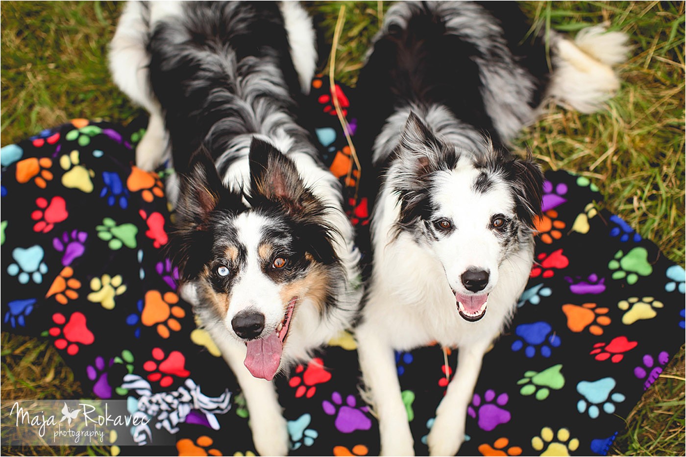 lolabu2014-tanja_024