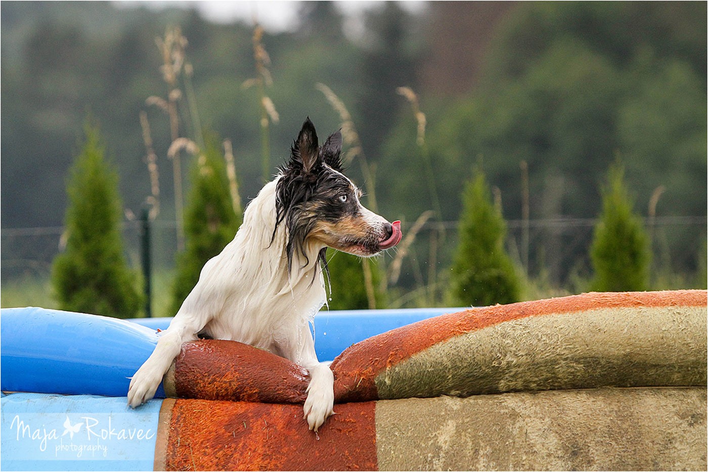 lolabu2014-tanja_038