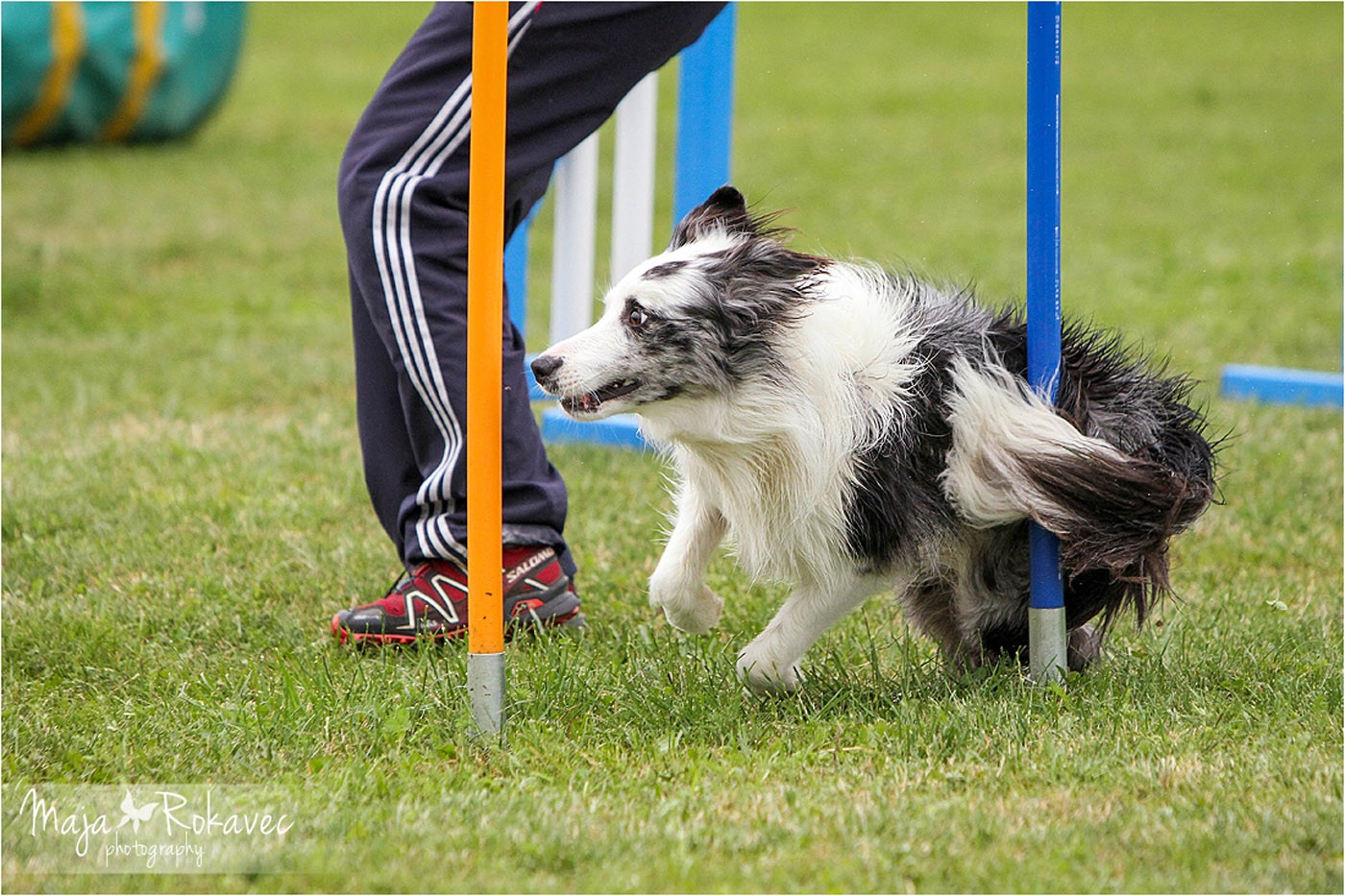 lolabu2014-tanja_043