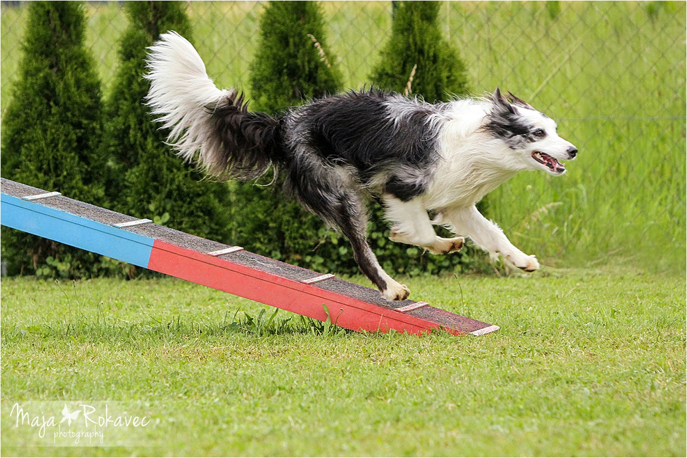 lolabu2014-tanja_044