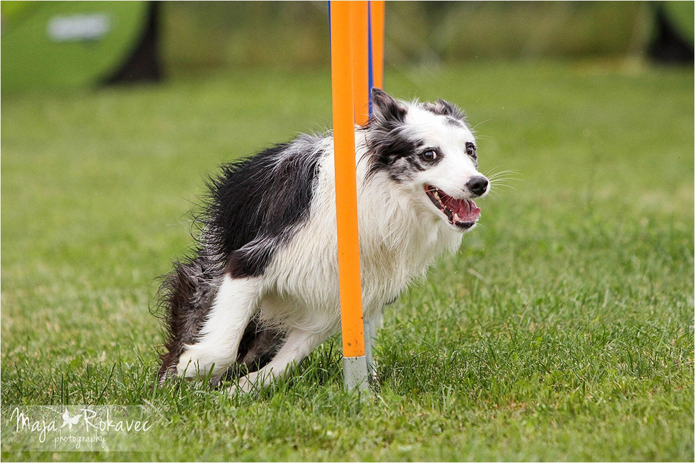 lolabu2014-tanja_045