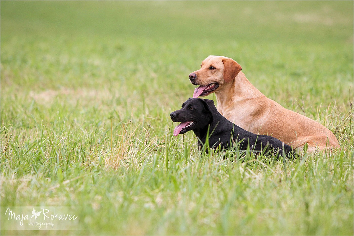 lolabu2014-uschi_016